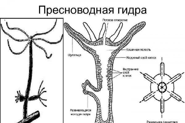 Ссылка на омг омг